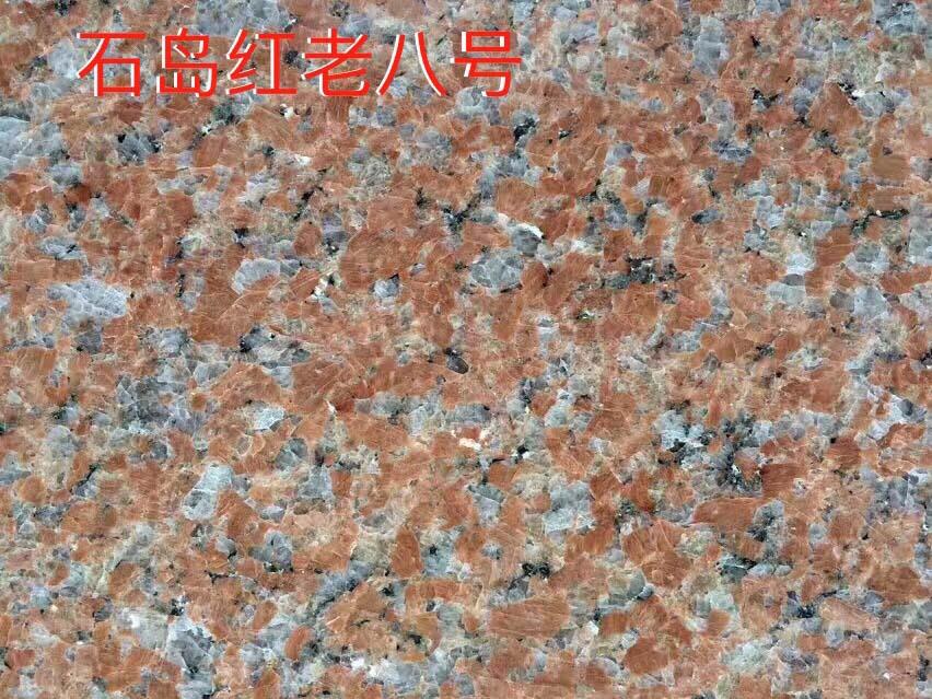 石岛红老8号.jpg